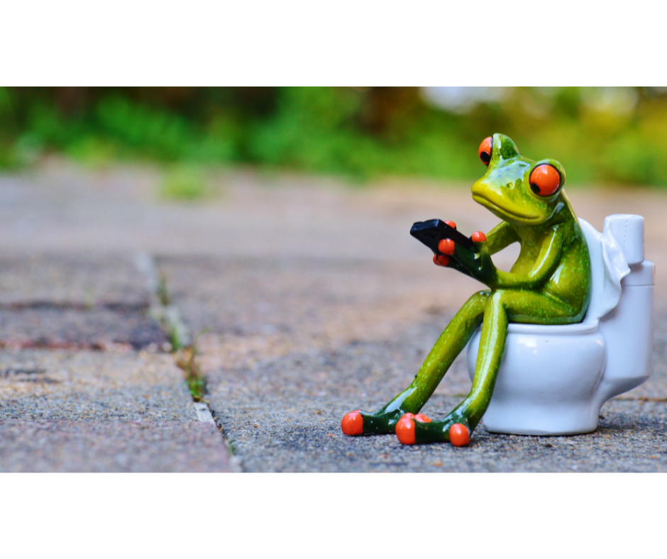 frog on a toilet using cell phone for research